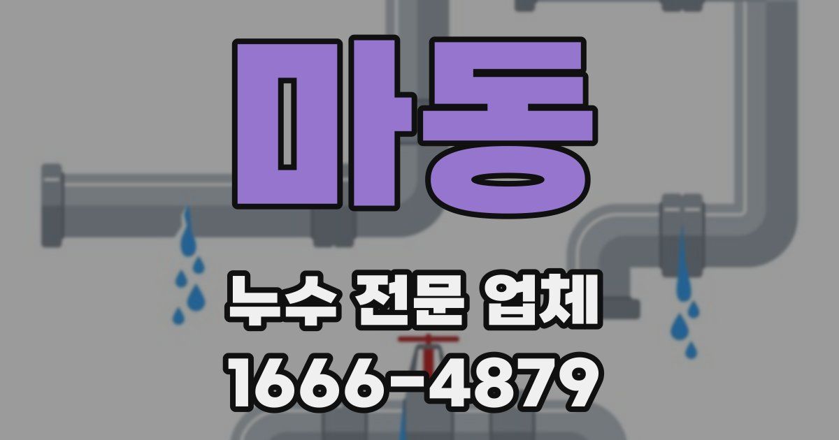 마동 누수 전문 업체