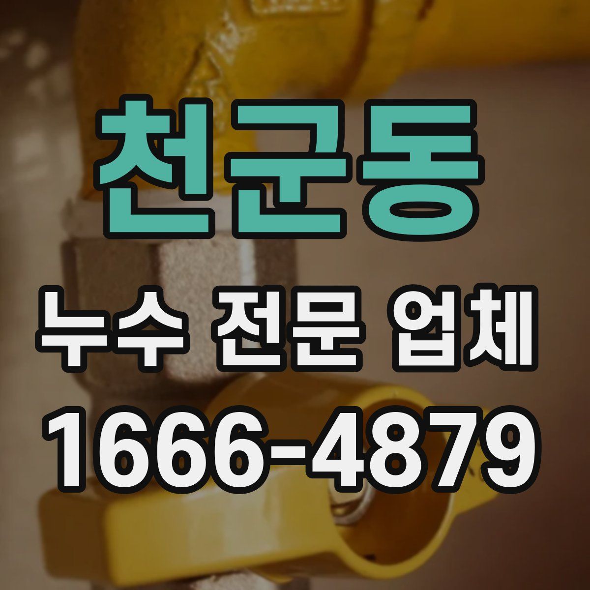 천군동 누수 전문 업체