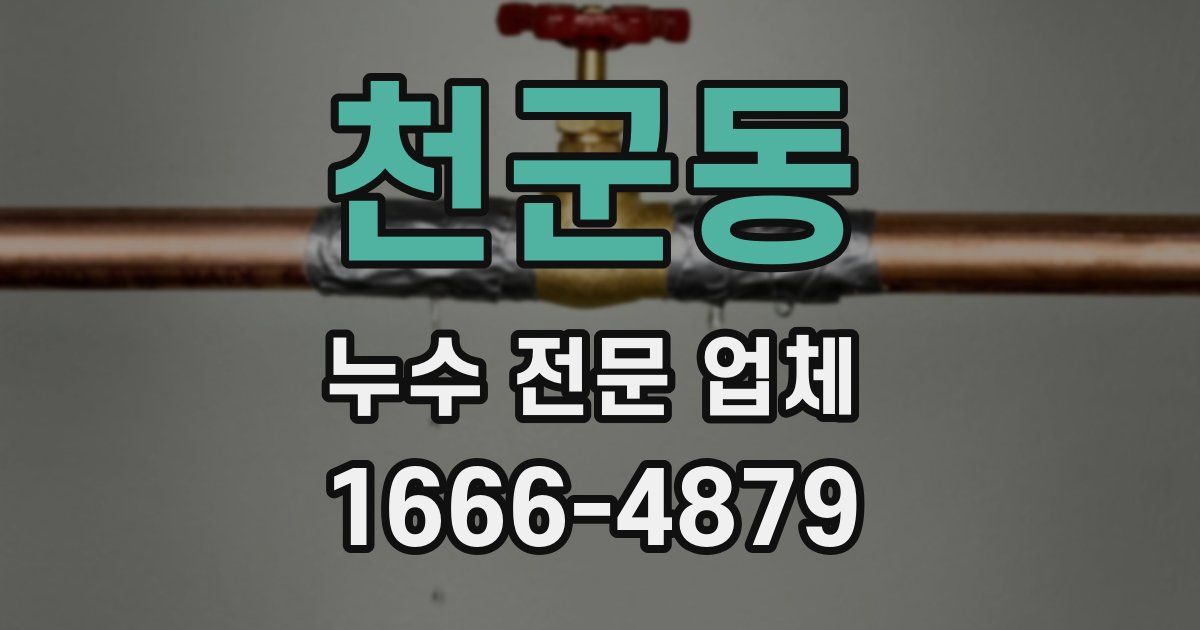 천군동 누수 전문 업체