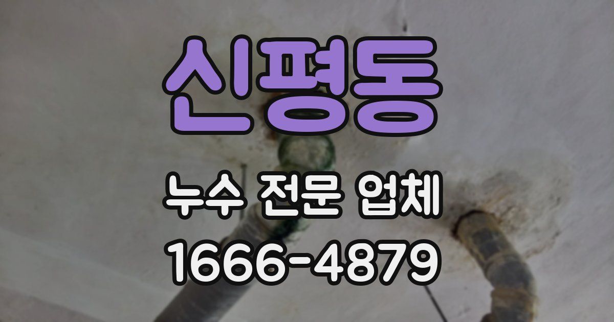 신평동 누수 전문 업체