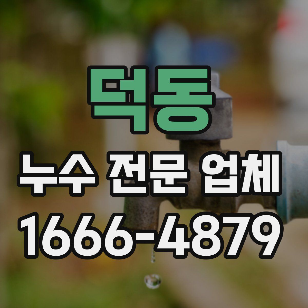 덕동 누수 전문 업체