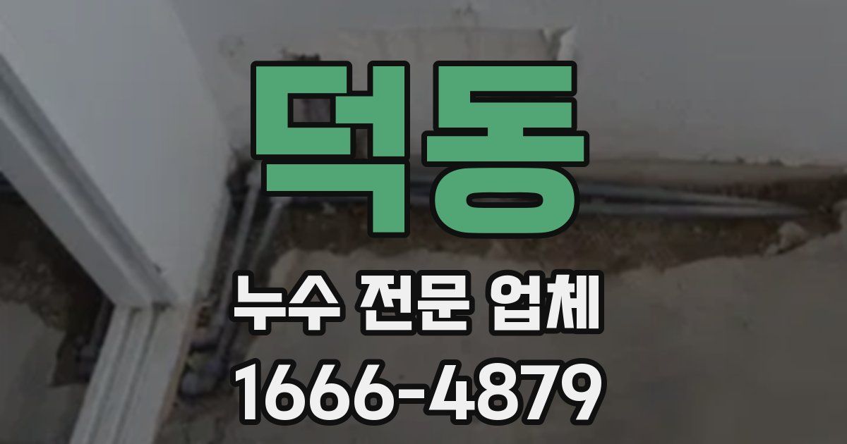 덕동 누수 전문 업체