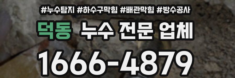 덕동 누수 전문 업체