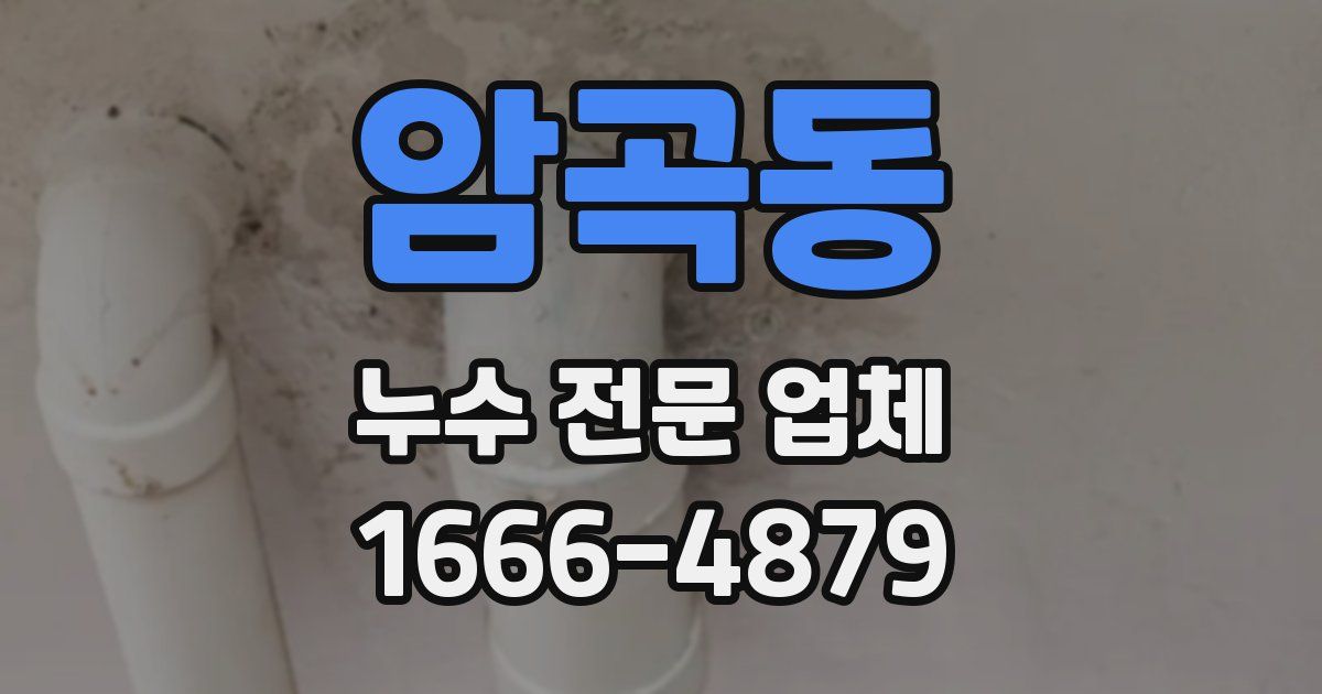 암곡동 누수 전문 업체