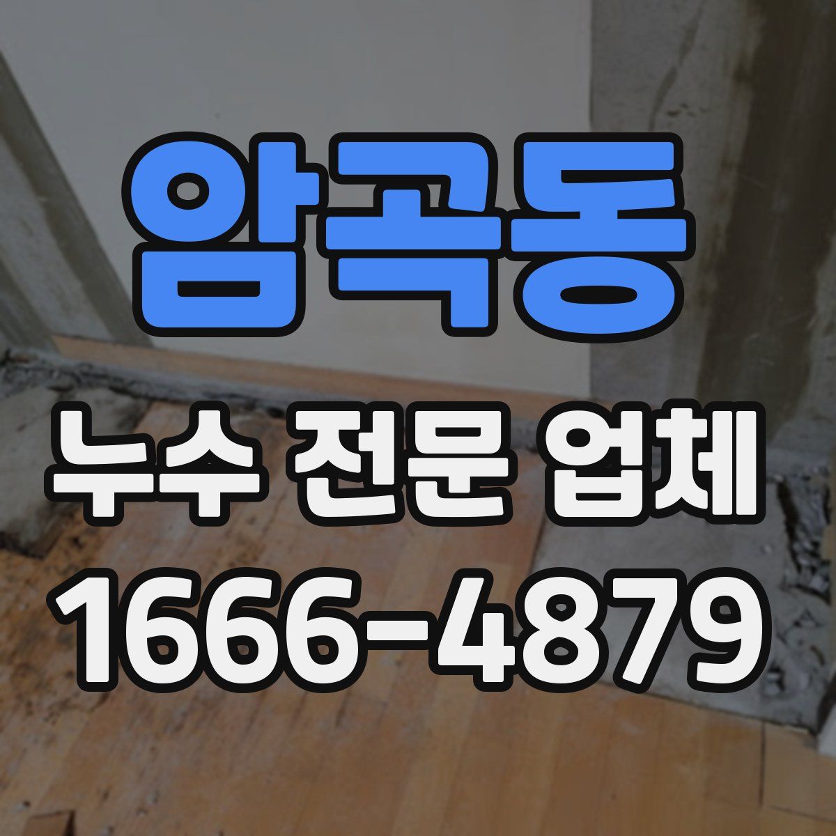 암곡동 누수 전문 업체