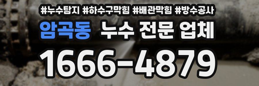 암곡동 누수 전문 업체