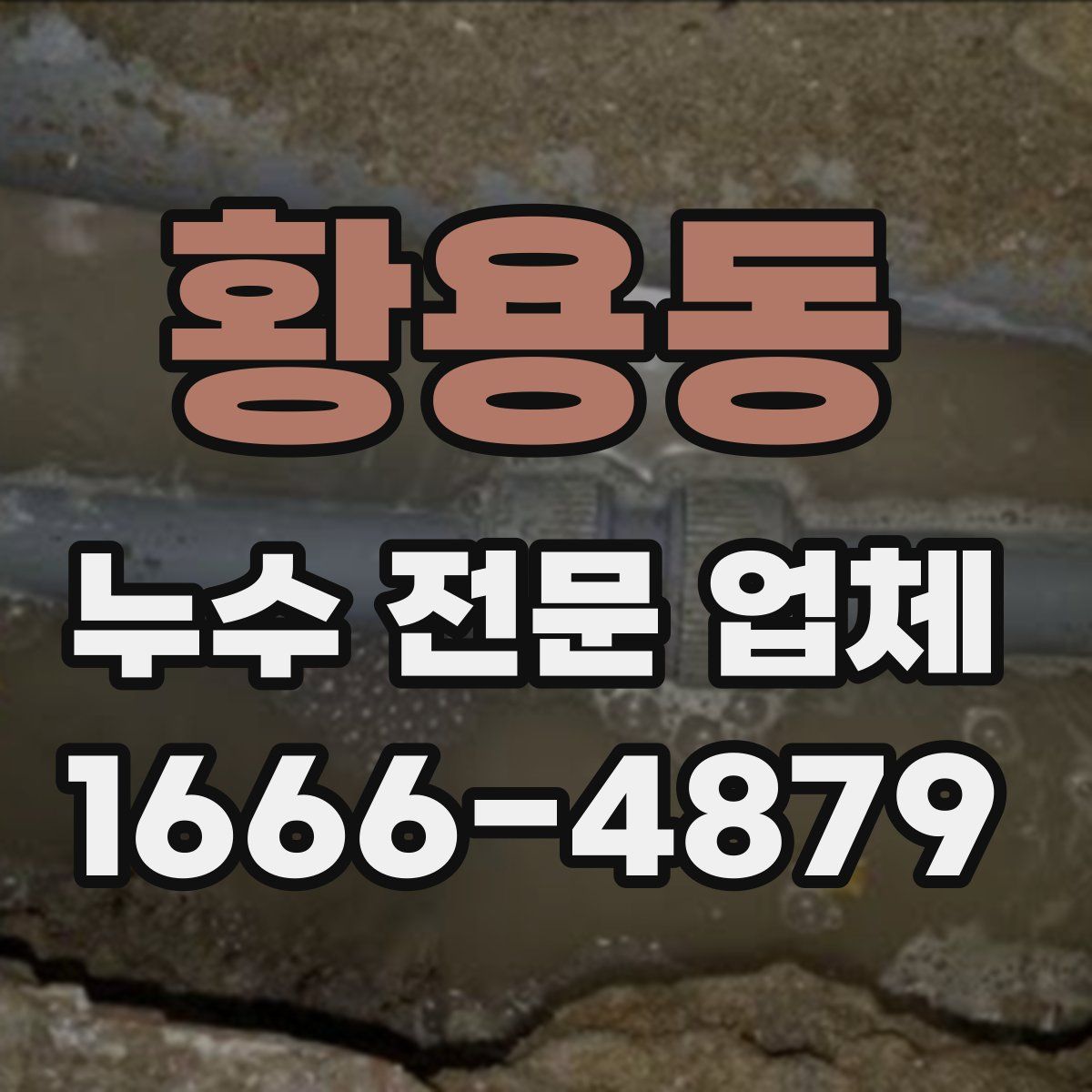 황용동 누수 전문 업체