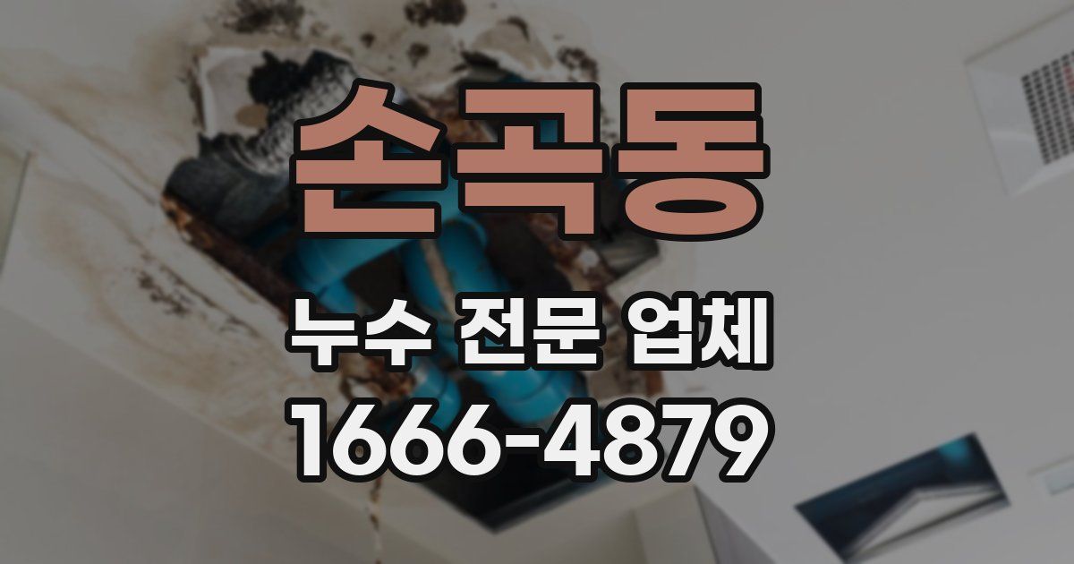 손곡동 누수 전문 업체