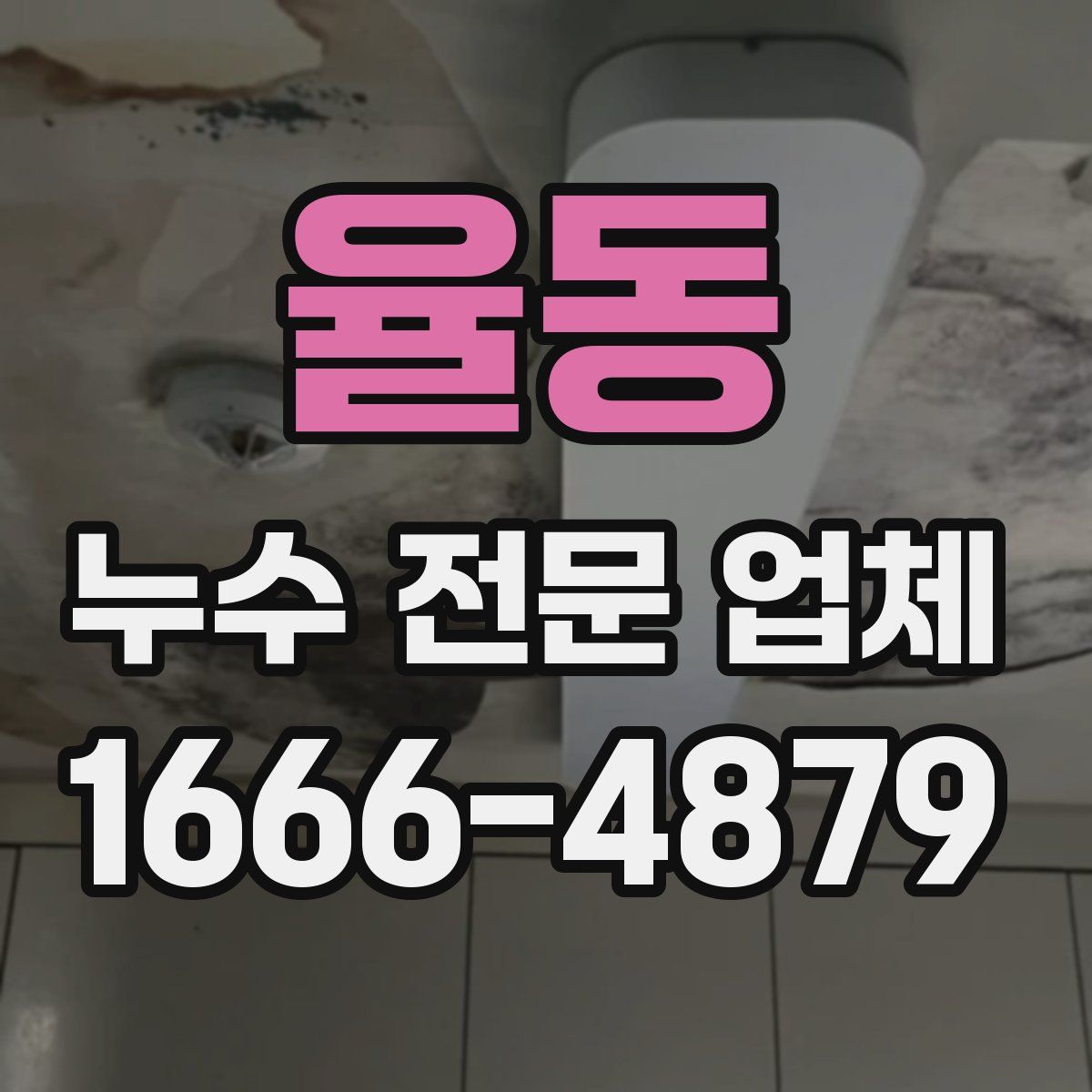 율동 누수 전문 업체