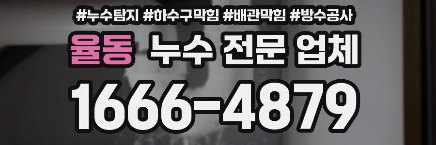 율동 누수 전문 업체
