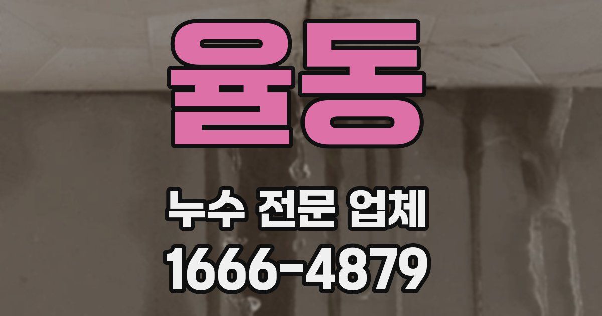 율동 누수 전문 업체