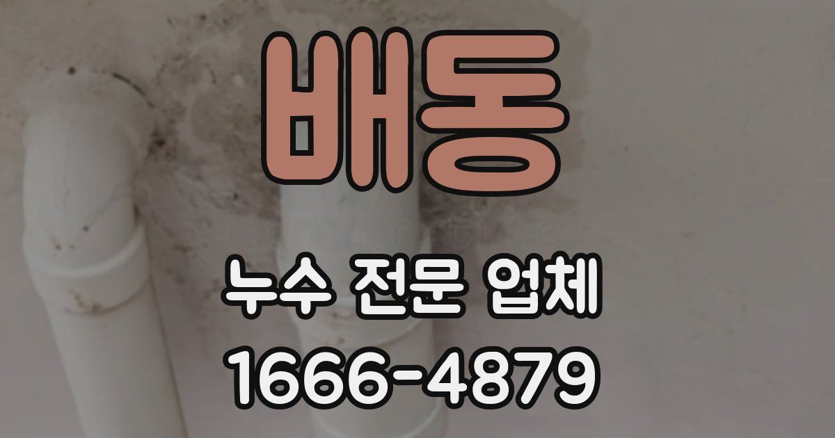 배동 누수 전문 업체