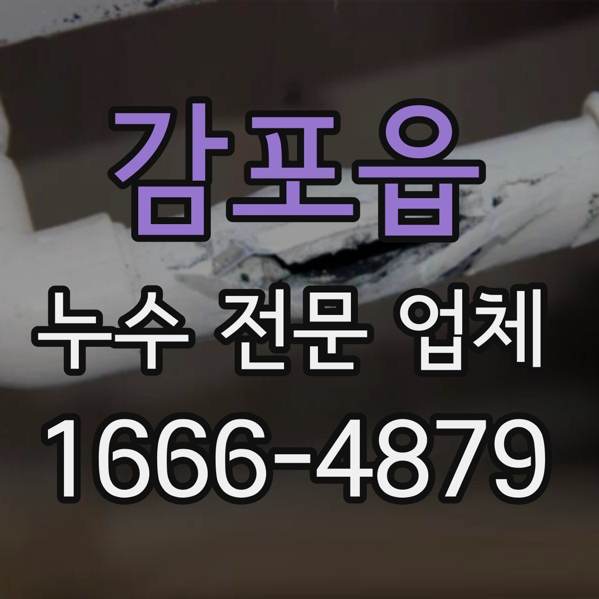 감포읍 누수 전문 업체