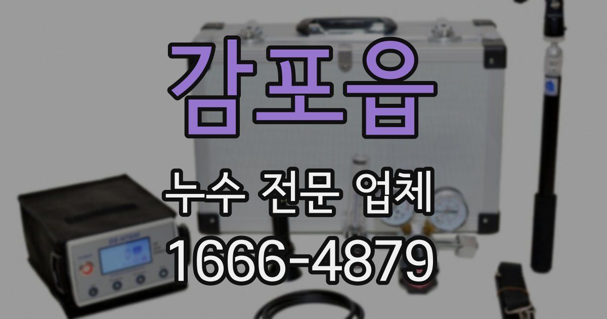 감포읍 누수 전문 업체