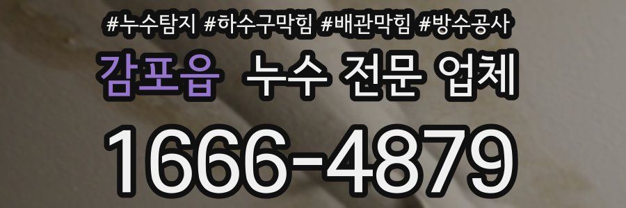 감포읍 누수 전문 업체