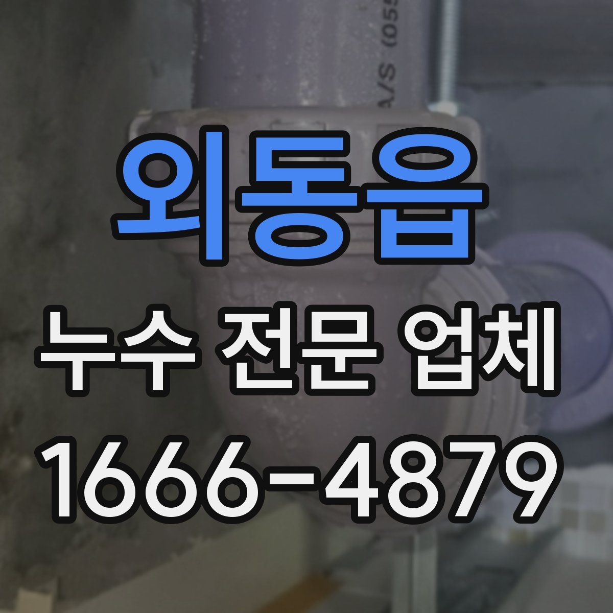 외동읍 누수 전문 업체