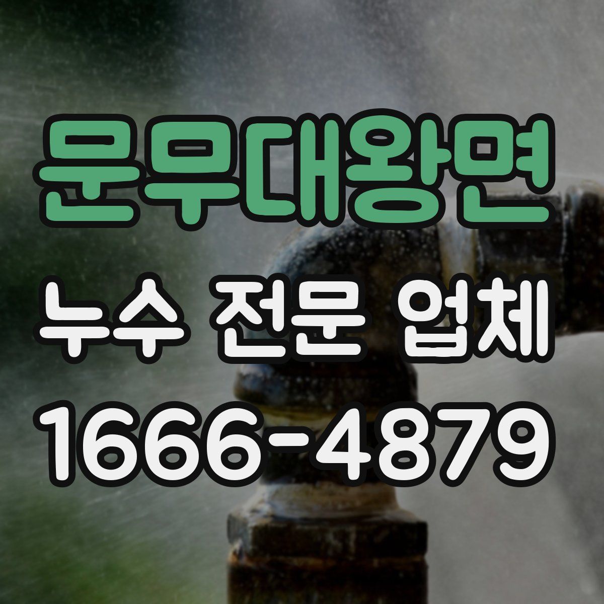 문무대왕면 누수 전문 업체