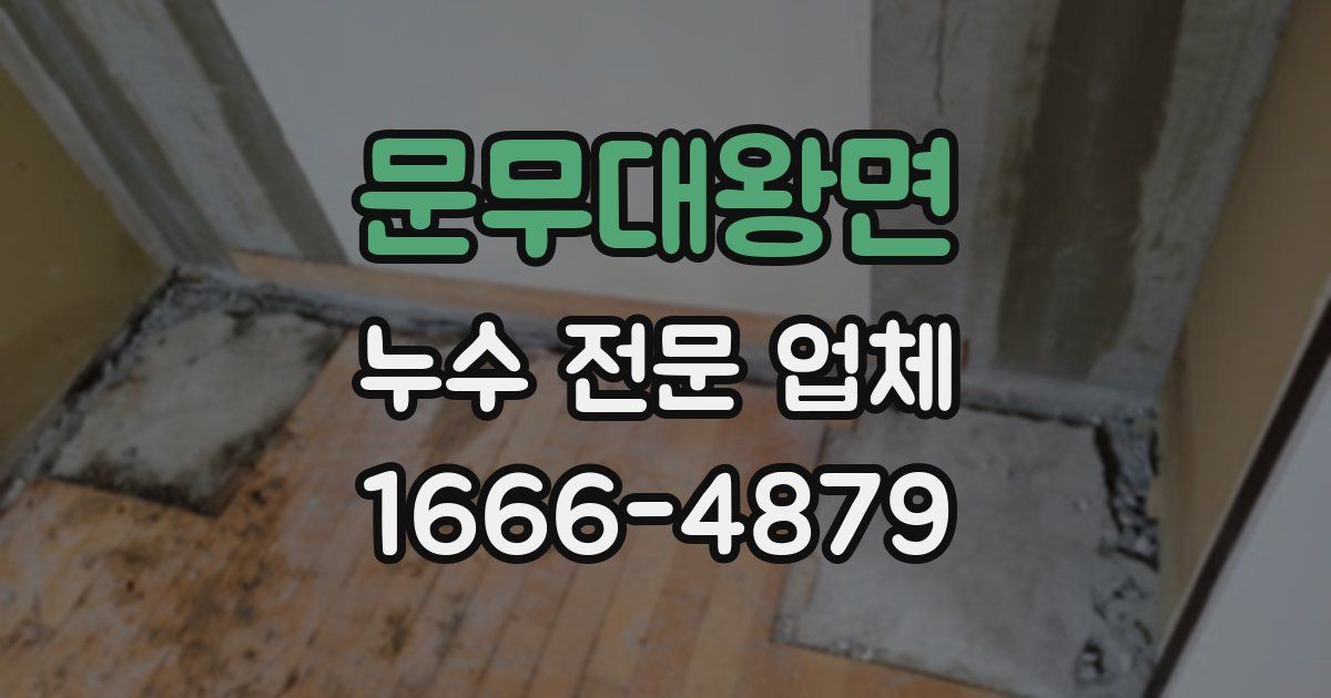 문무대왕면 누수 전문 업체