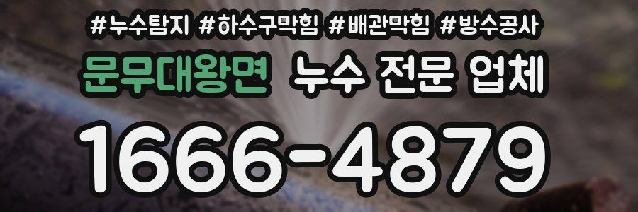 문무대왕면 누수 전문 업체