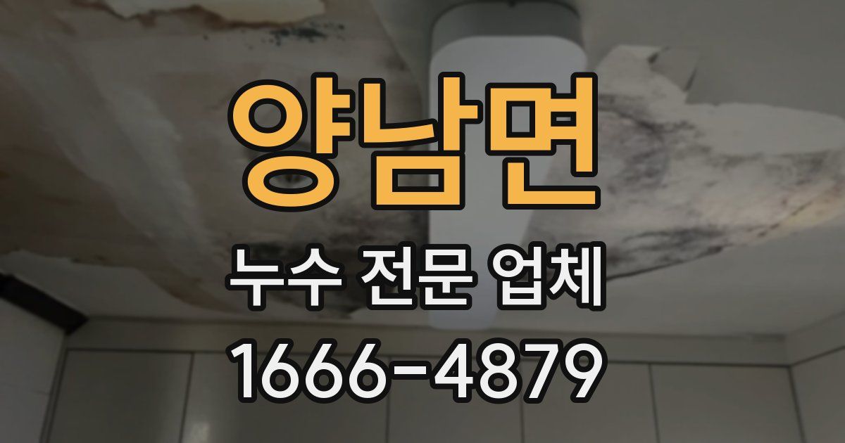 양남면 누수 전문 업체