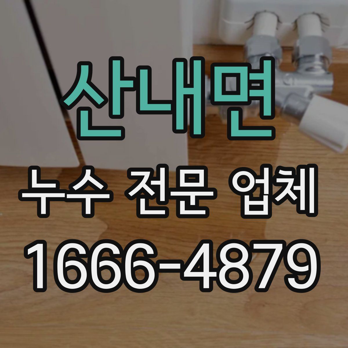 산내면 누수 전문 업체