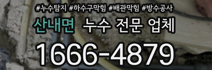 산내면 누수 전문 업체