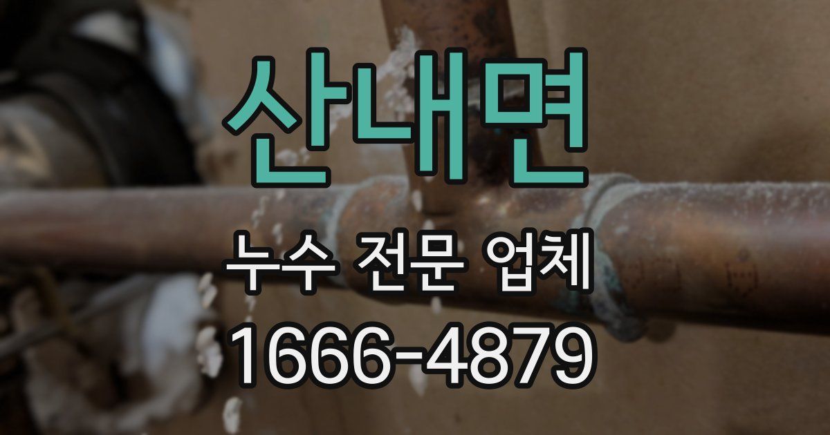 산내면 누수 전문 업체