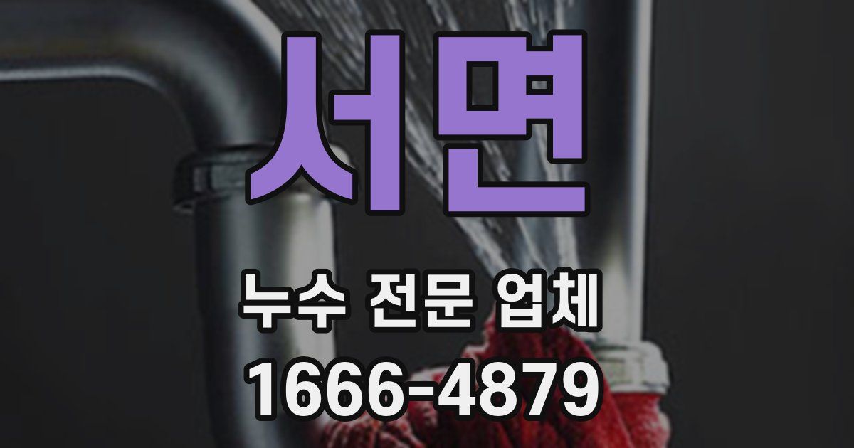 서면 누수 전문 업체
