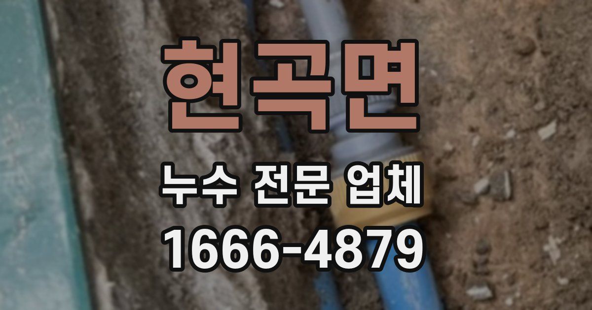 현곡면 누수 전문 업체