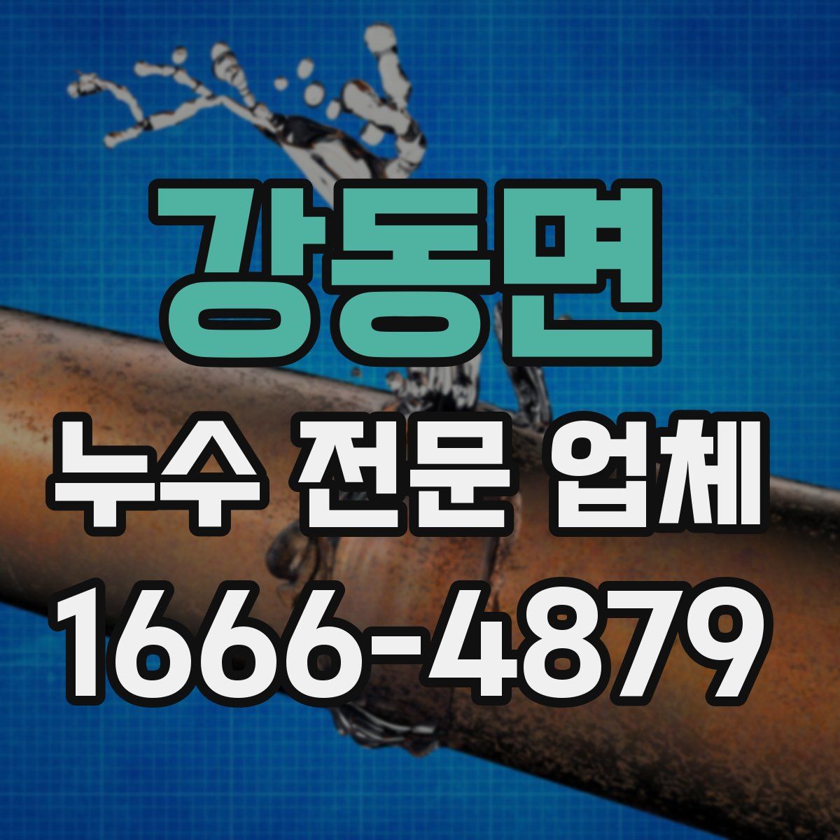 강동면 누수 전문 업체