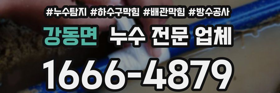 강동면 누수 전문 업체