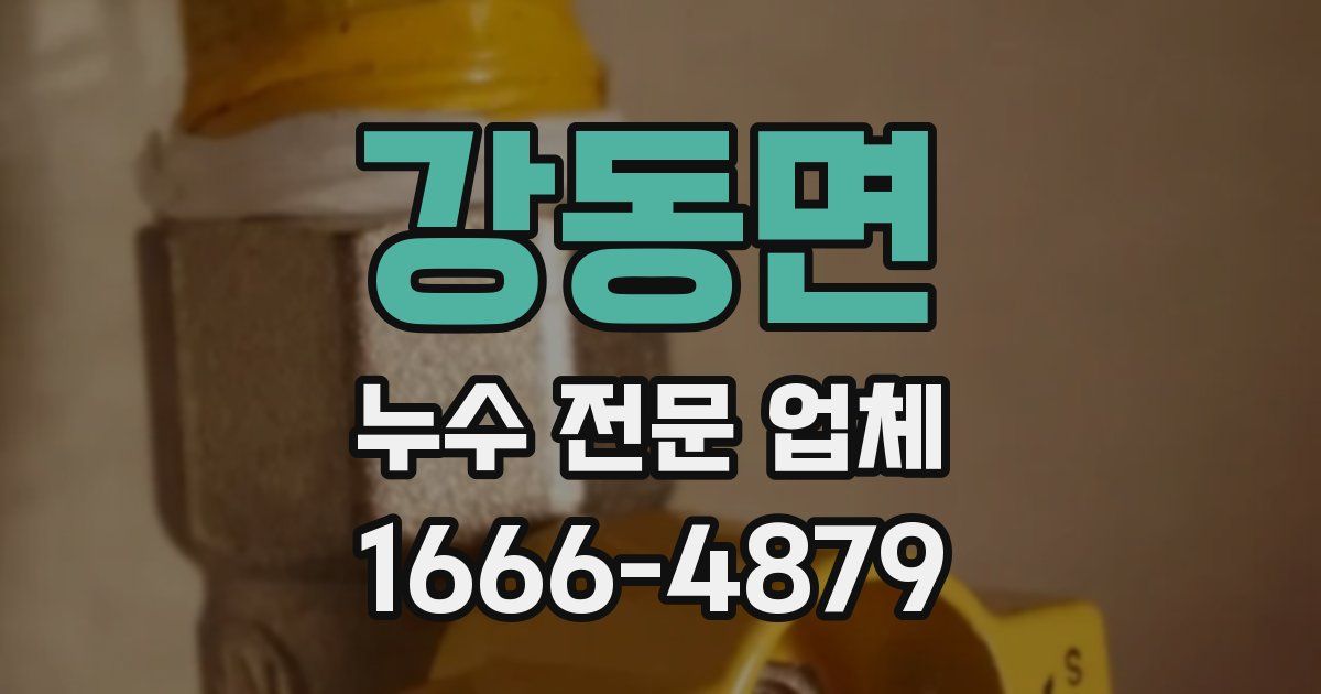 강동면 누수 전문 업체