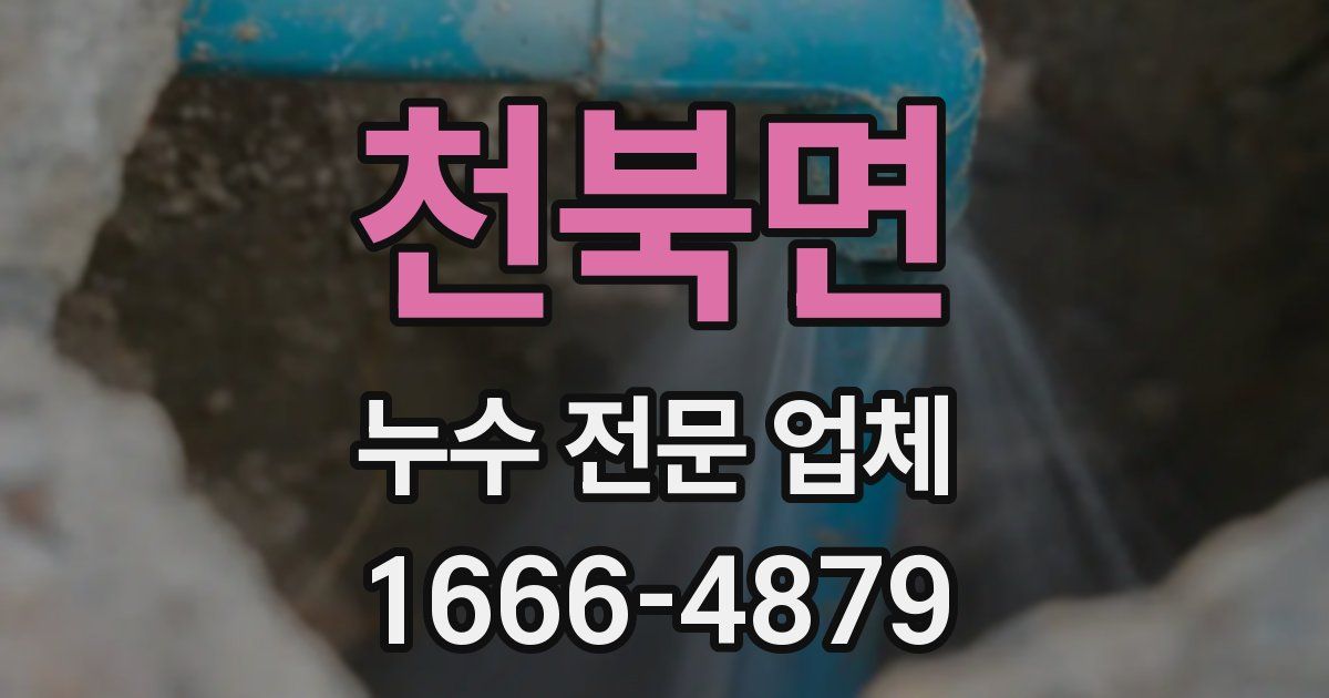 천북면 누수 전문 업체