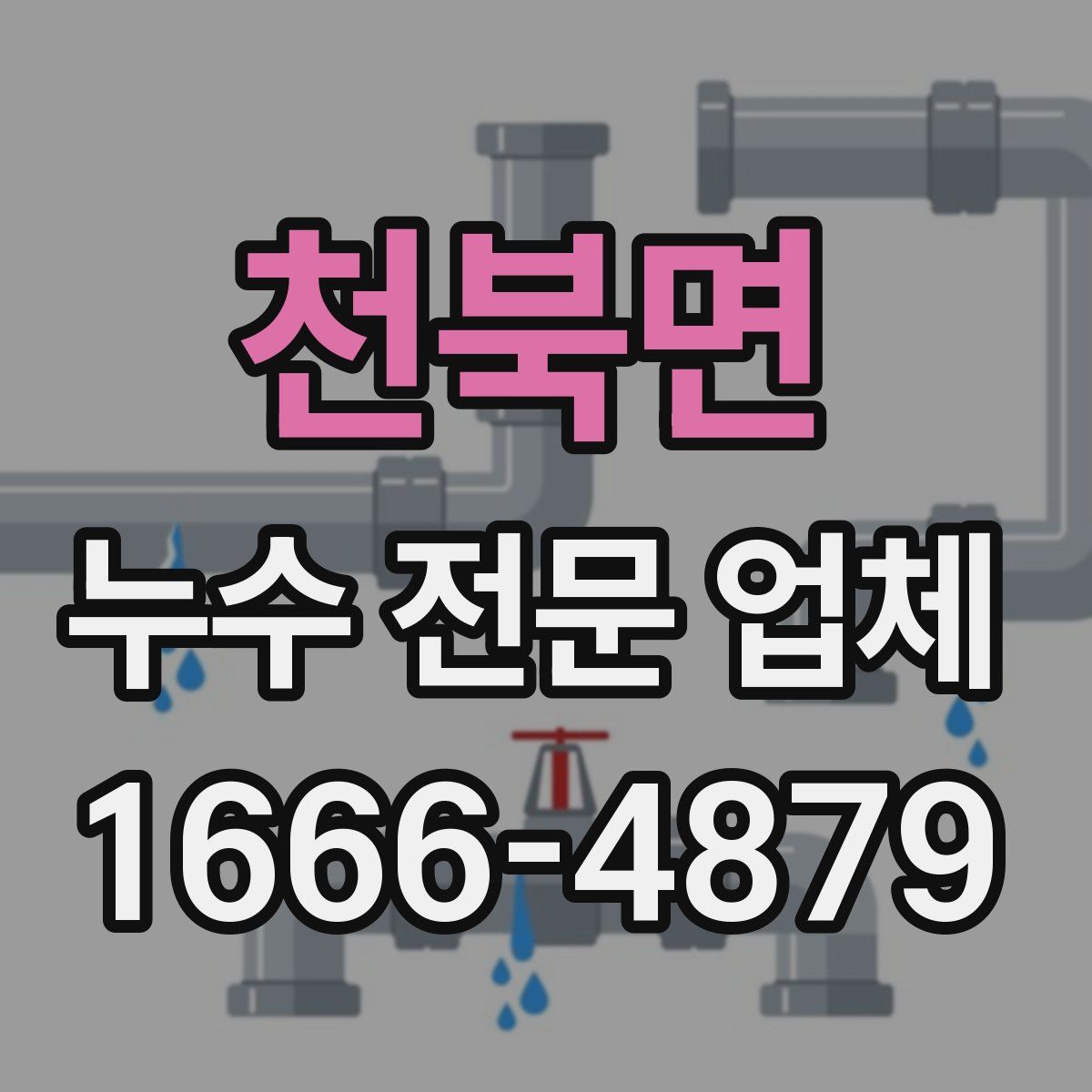 천북면 누수 전문 업체
