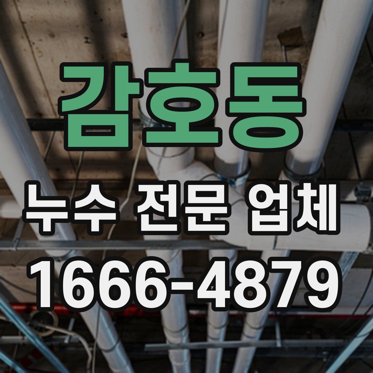 감호동 누수 전문 업체