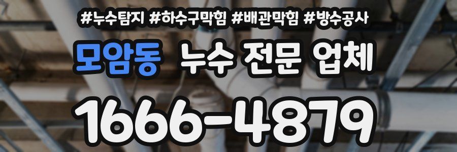 모암동 누수 전문 업체