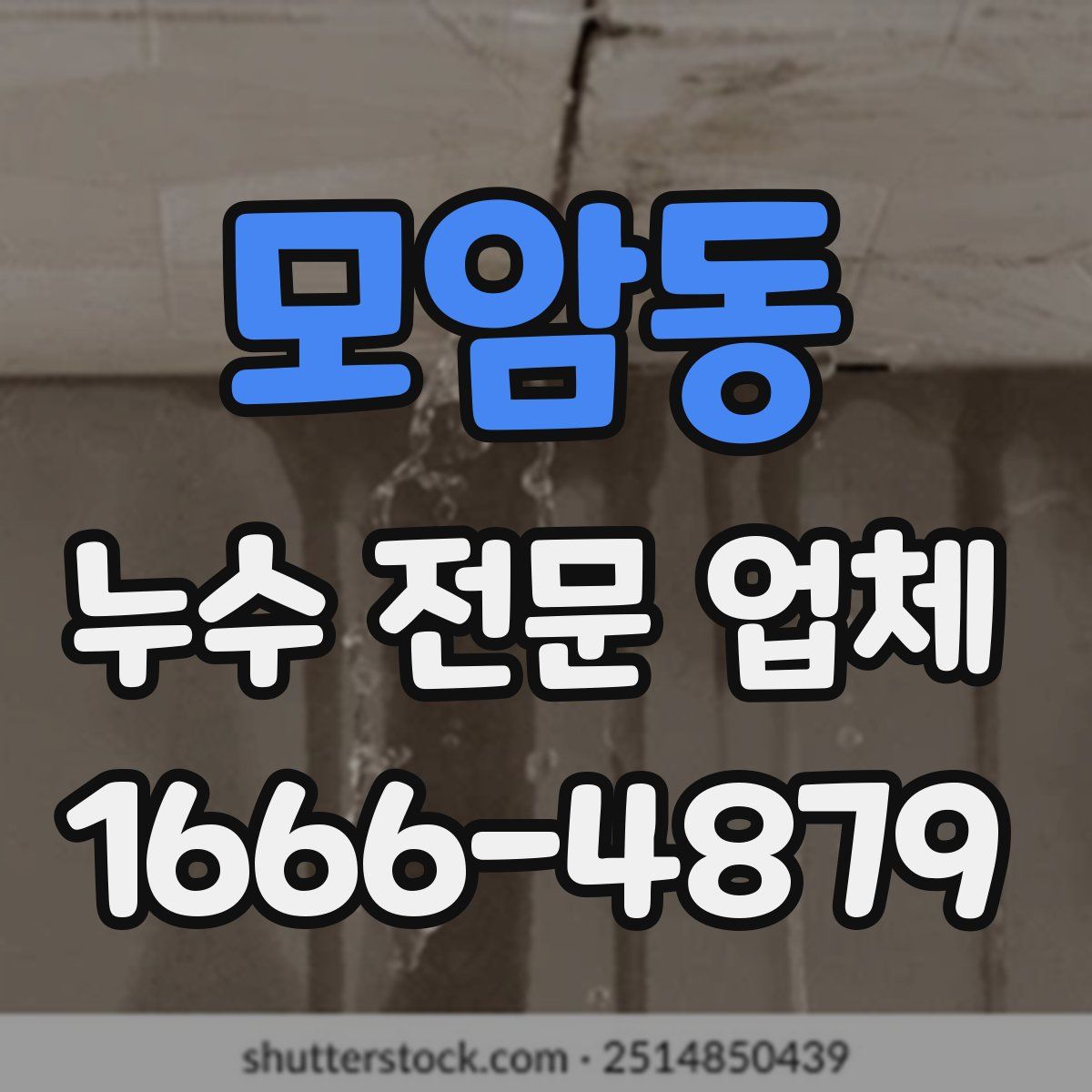모암동 누수 전문 업체