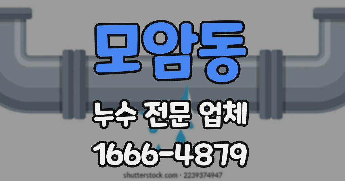 모암동 누수 전문 업체