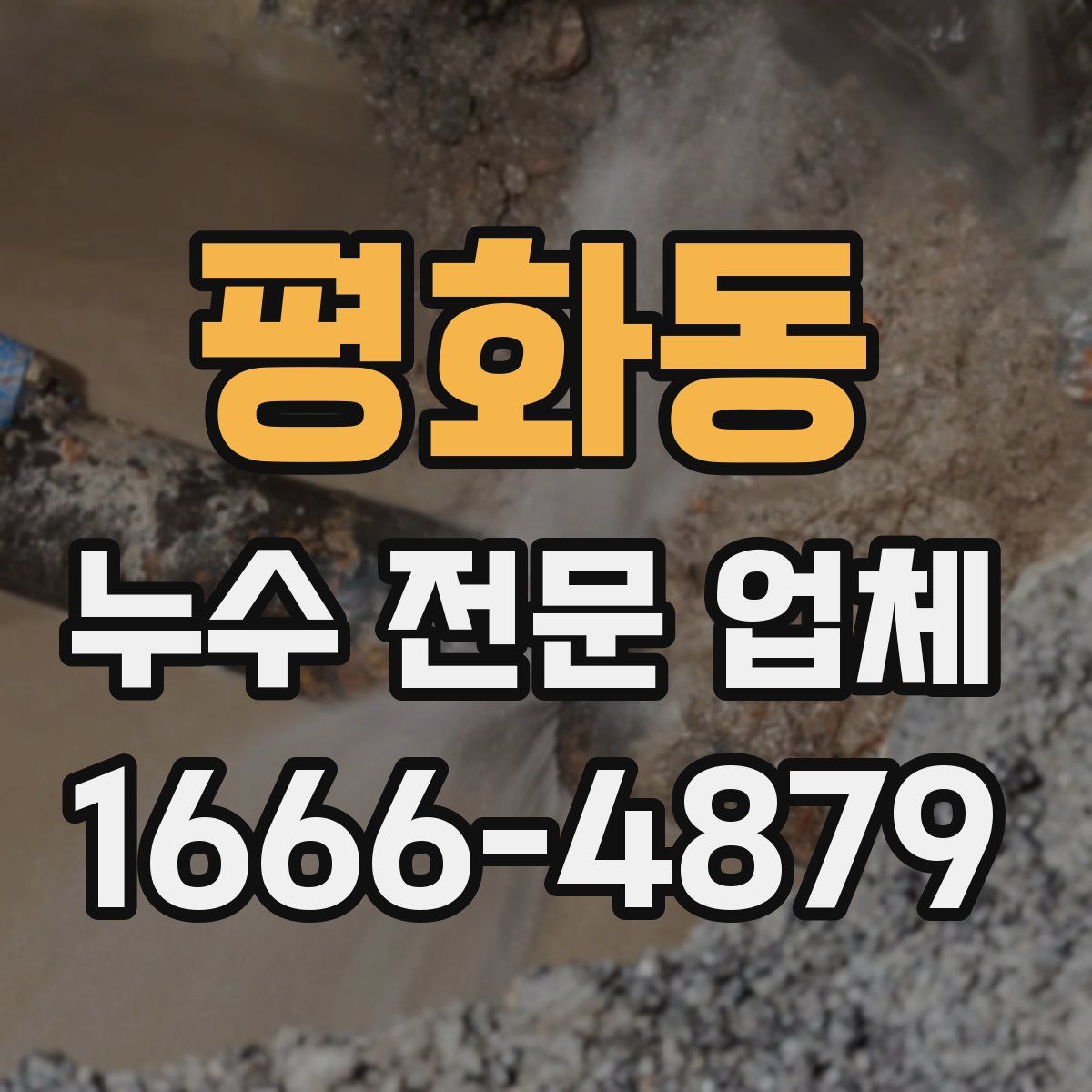 평화동 누수 전문 업체