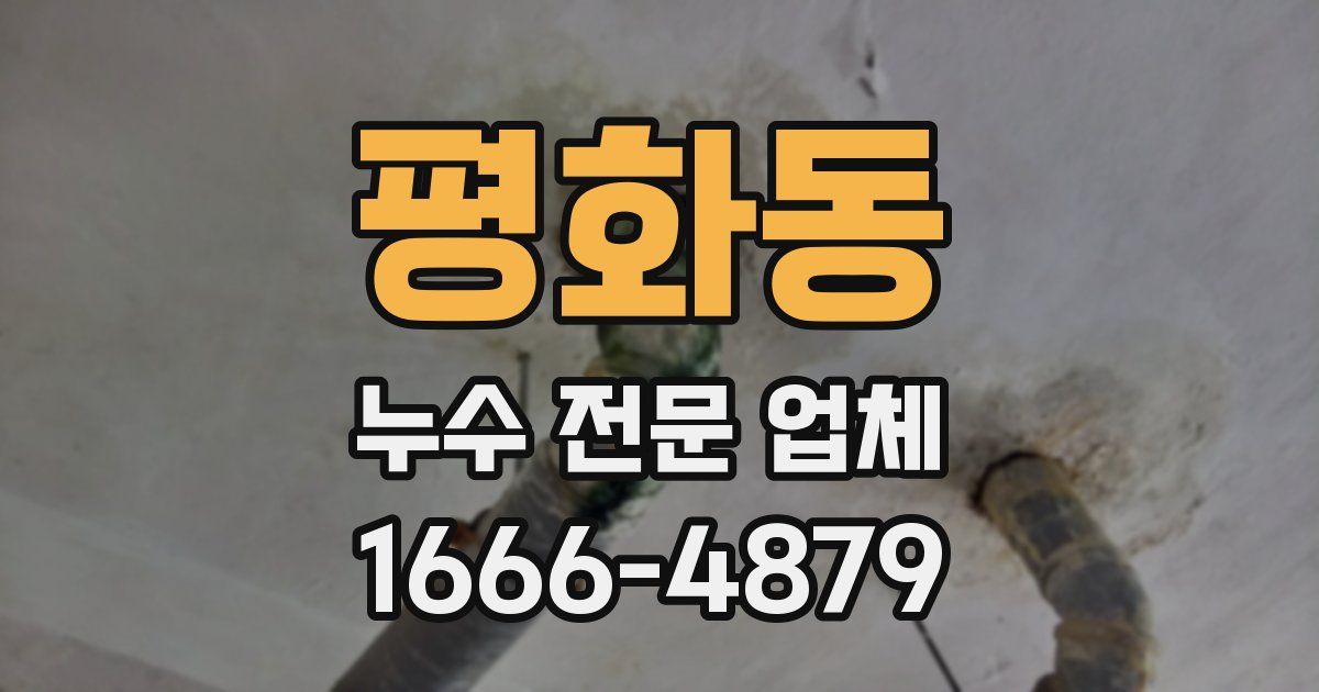 평화동 누수 전문 업체