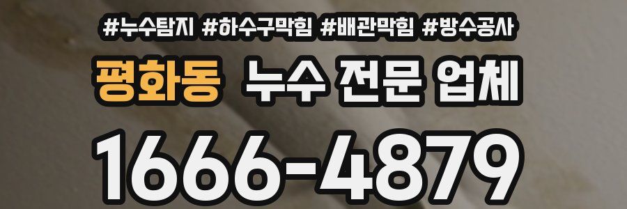 평화동 누수 전문 업체