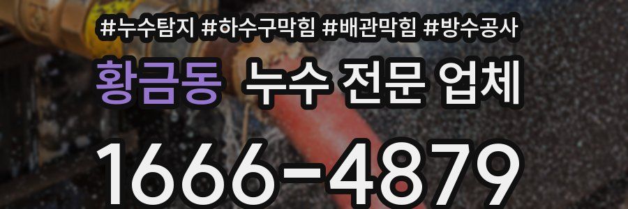 황금동 누수 전문 업체