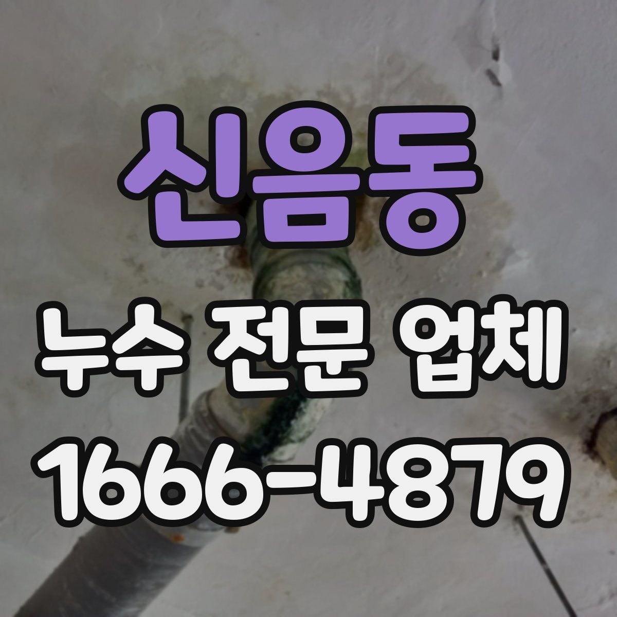신음동 누수 전문 업체