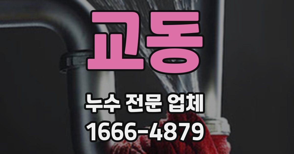 교동 누수 전문 업체
