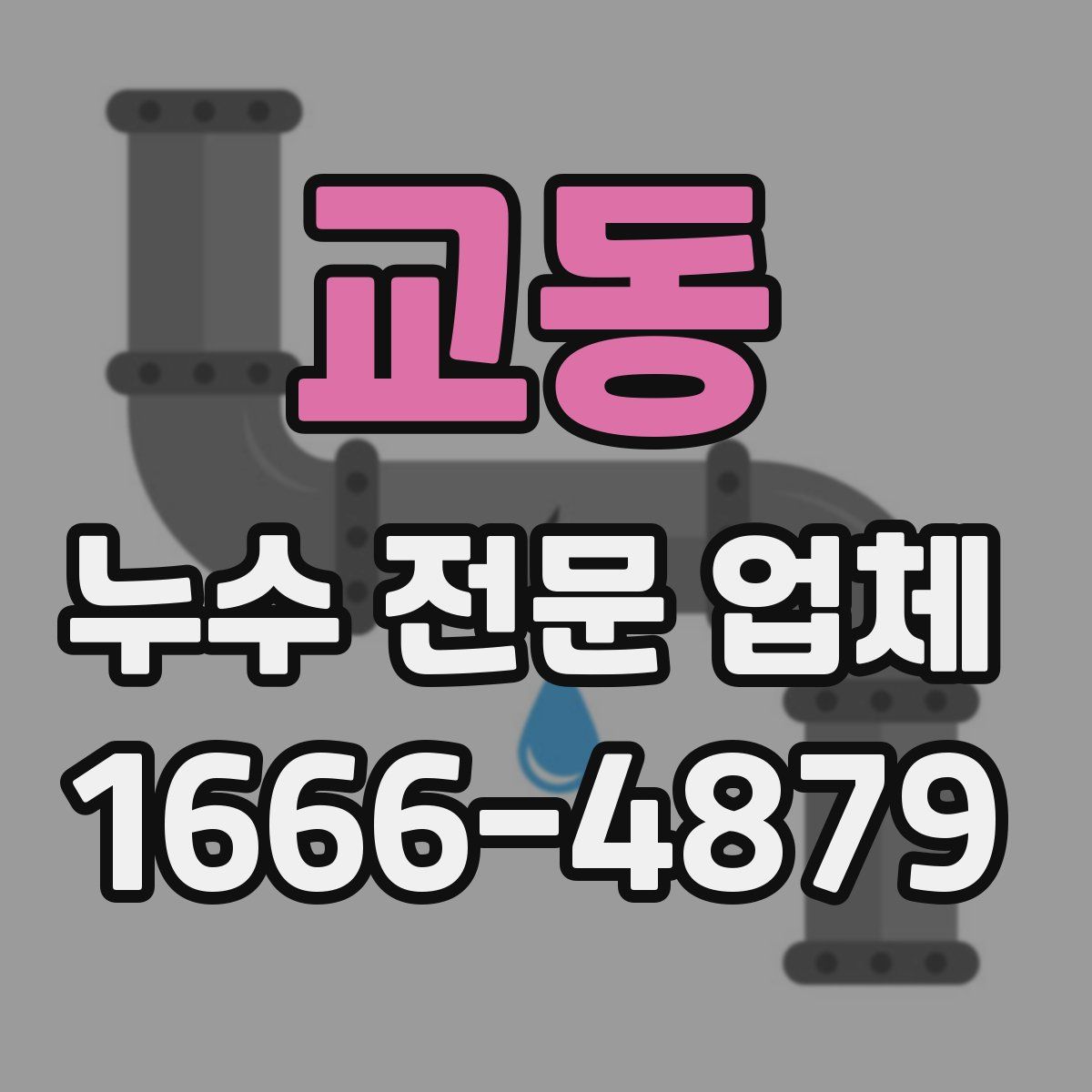 교동 누수 전문 업체