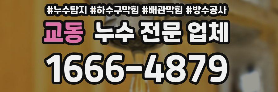 교동 누수 전문 업체
