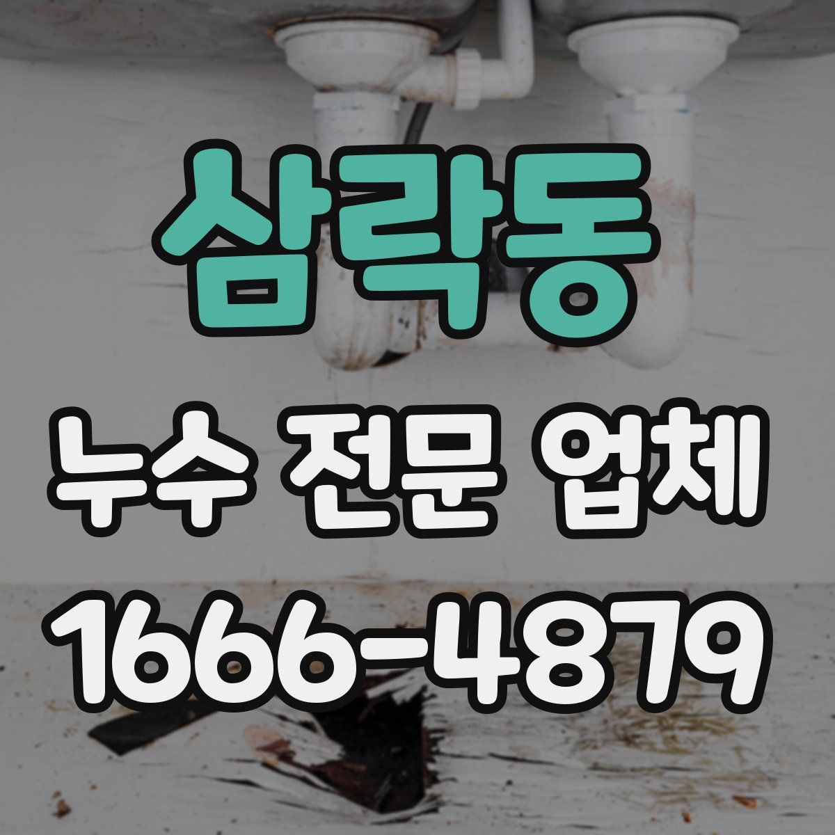 삼락동 누수 전문 업체