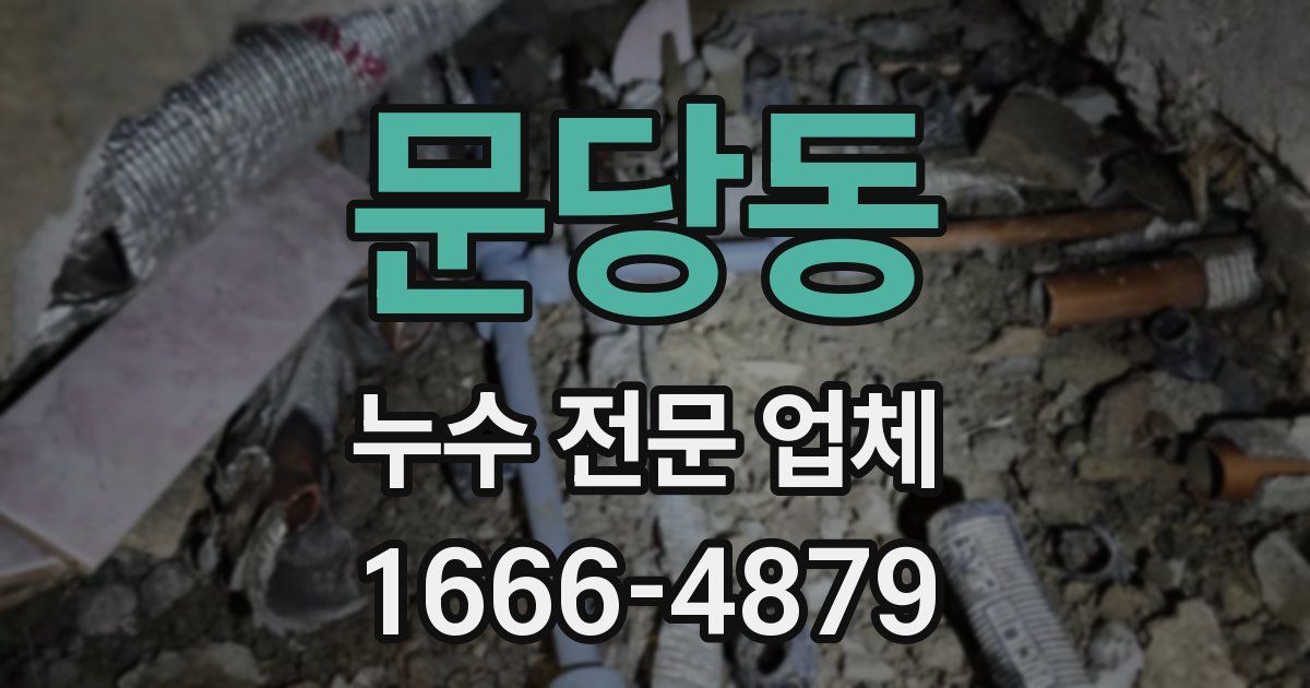 문당동 누수 전문 업체