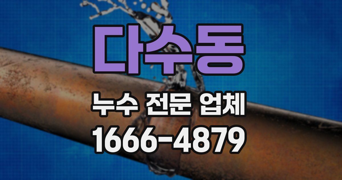다수동 누수 전문 업체