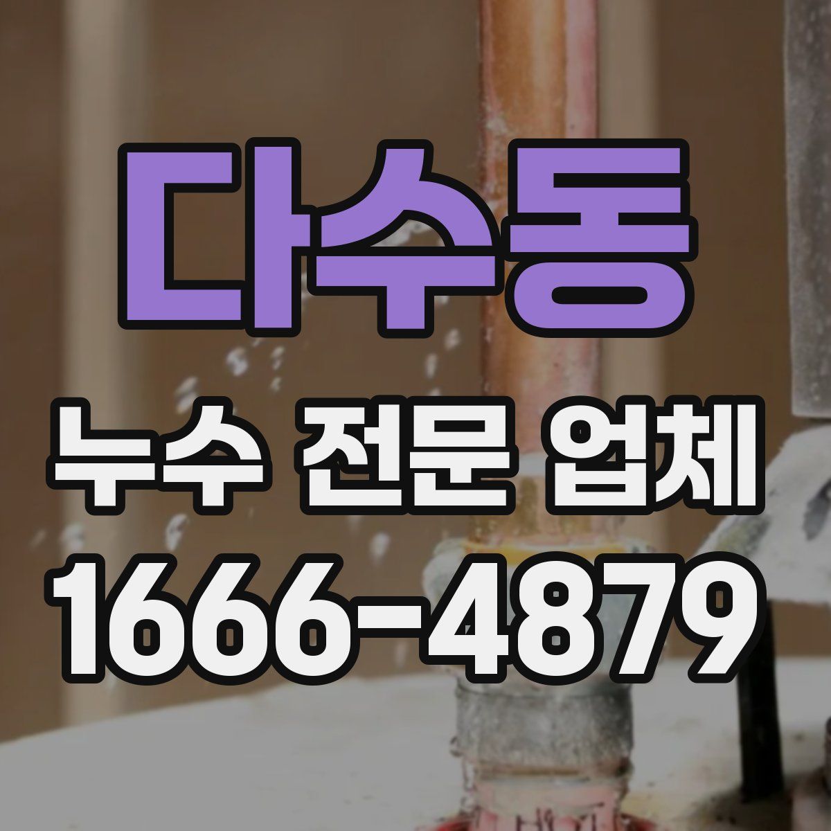 다수동 누수 전문 업체